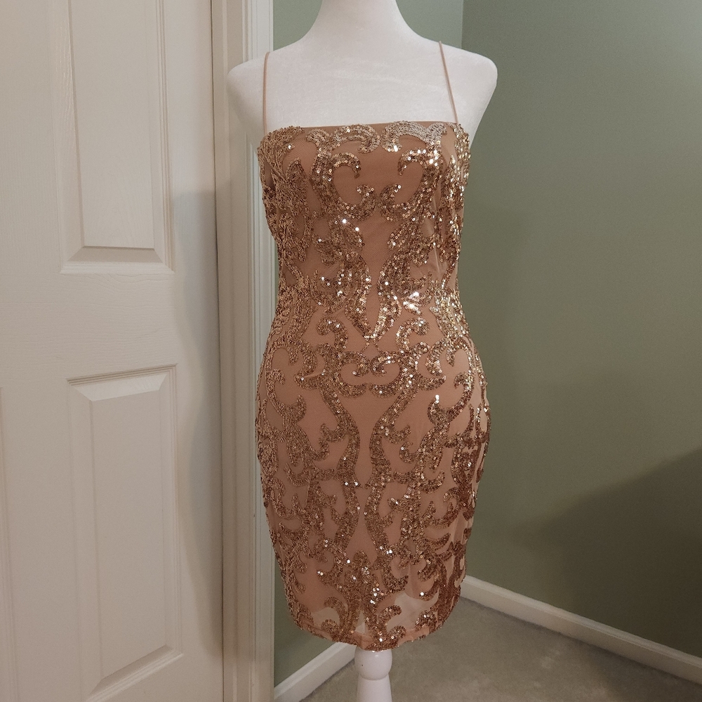 Windsor embroidered biege sequin mini dress with mesh overlay